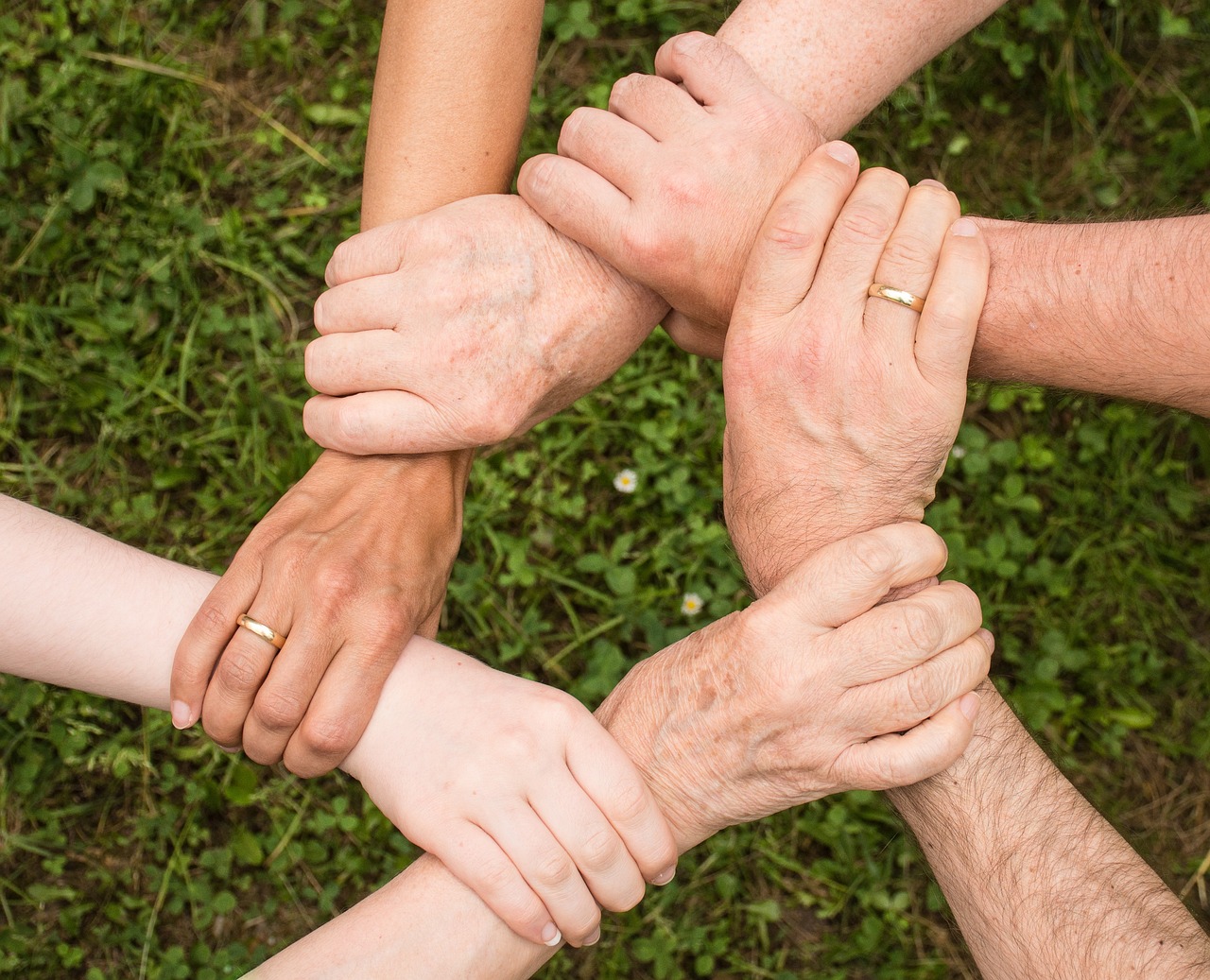 team spirit teamwork community 2447163.jpg